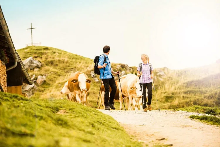 Die-schoensten-Wanderwege